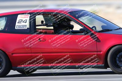 media/Oct-24-2025-Doghouse Garage (Fri) [[783d2ff07a]]/1-Advanced/Session 2 Turn 5 Tree of Life/